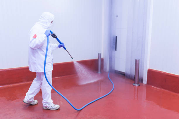 Best Solar Panel Cleaning  in Winnsboro Mills, SC